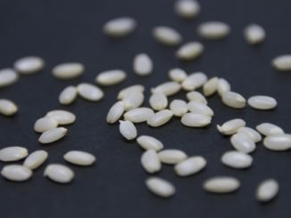 発芽玄米,ダイエット